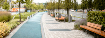Urban Park with a Paved Pedestrian Walkway