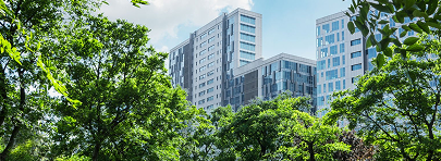 Modern Commercial Building Complex Surrounded by Greenery